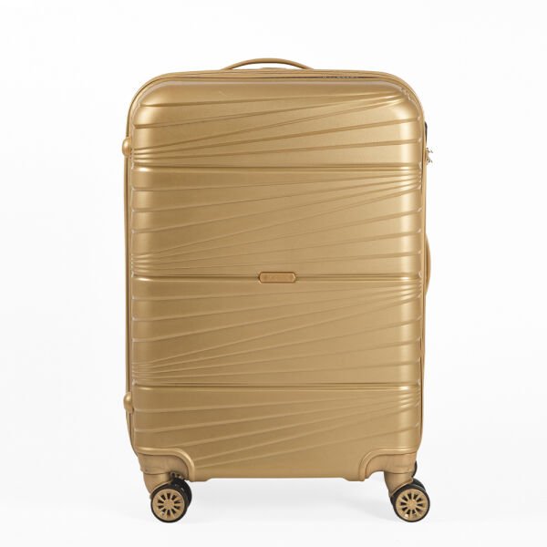 901 - Gold Valiz Seti
